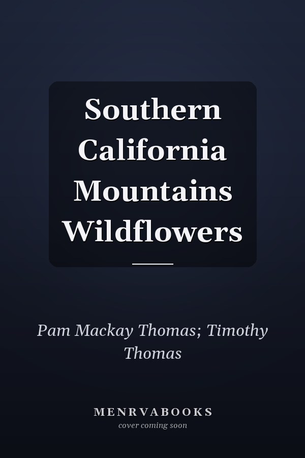 Southern California Mountains Wildflowers