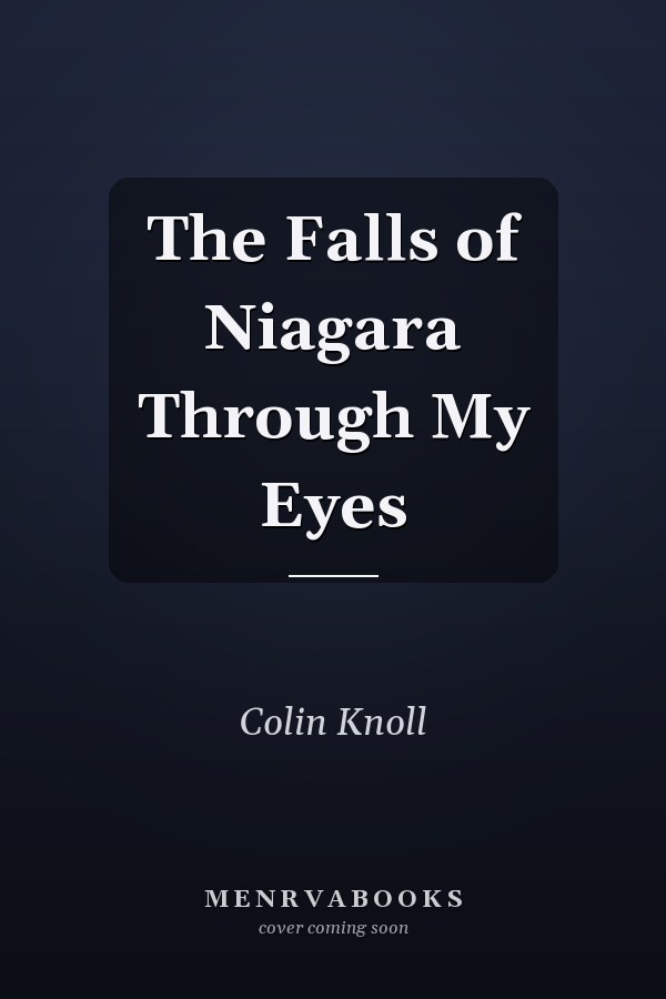 The Falls of Niagara Through My Eyes