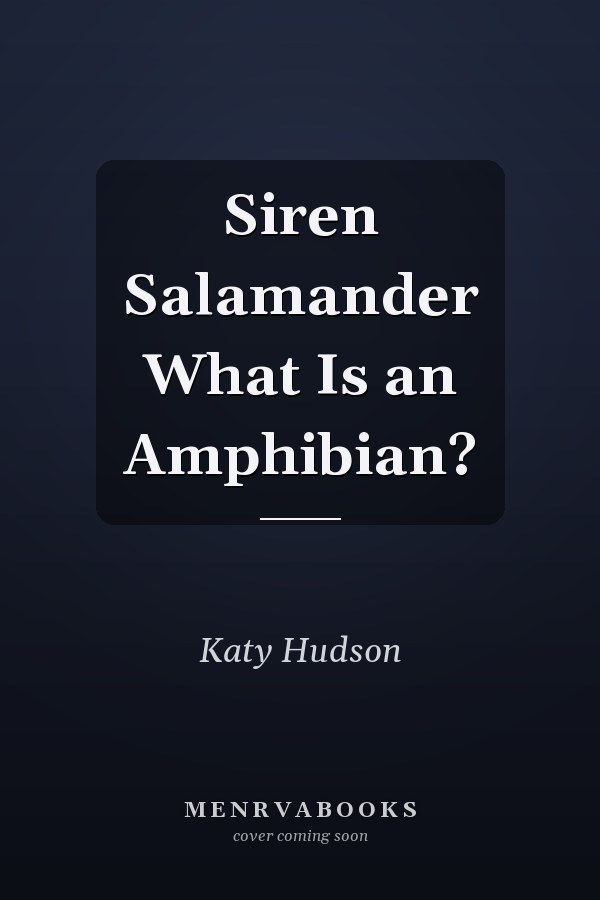 Siren Salamander What Is an Amphibian?