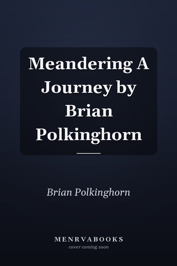 Meandering A Journey by Brian Polkinghorn