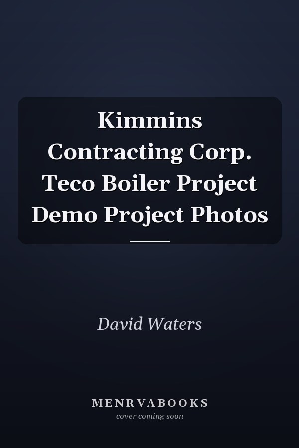 Kimmins Contracting Corp. Teco Boiler Project Demo Project Photos