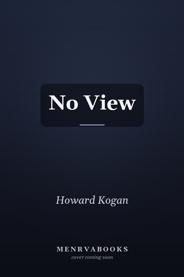 No View