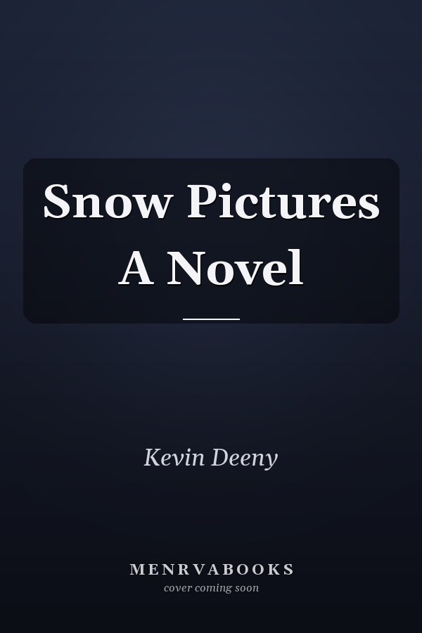 Snow Pictures A Novel