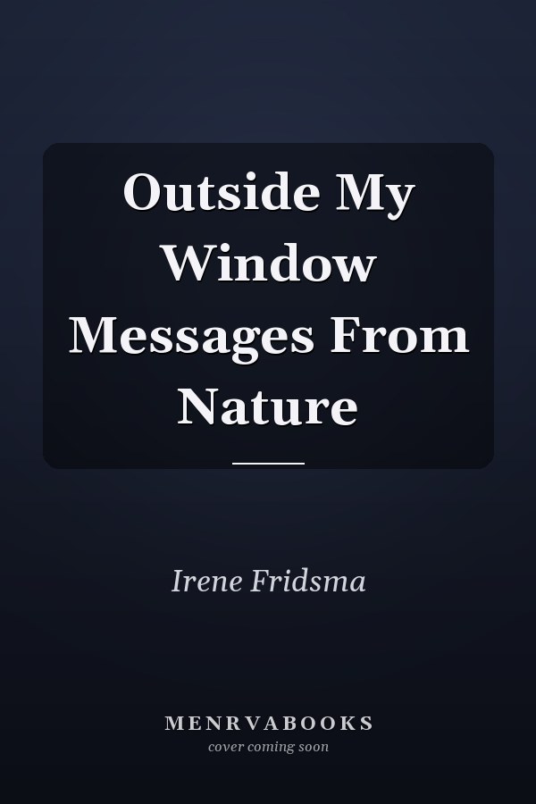 Outside My Window Messages From Nature