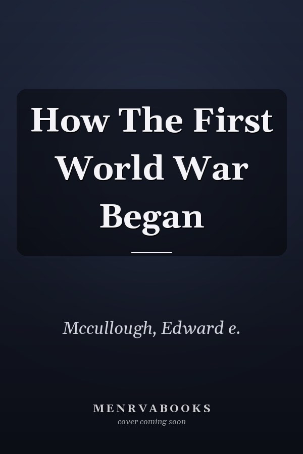 How The First World War Began