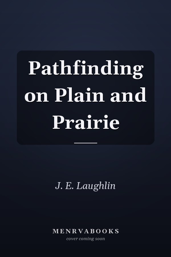 Pathfinding on Plain and Prairie