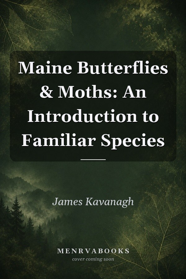 Maine Butterflies & Moths: An Introduction to Familiar Species