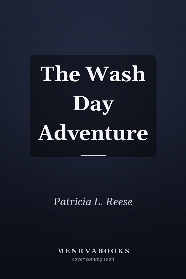 The Wash Day Adventure
