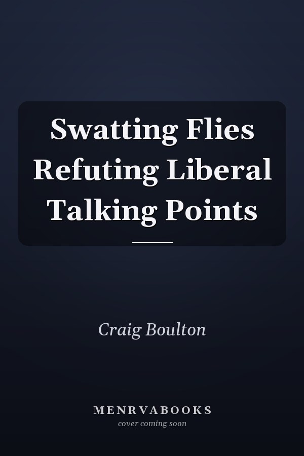 Swatting Flies Refuting Liberal Talking Points