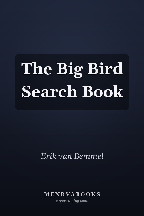 The Big Bird Search Book