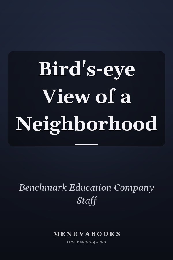 Bird's-eye View of a Neighborhood