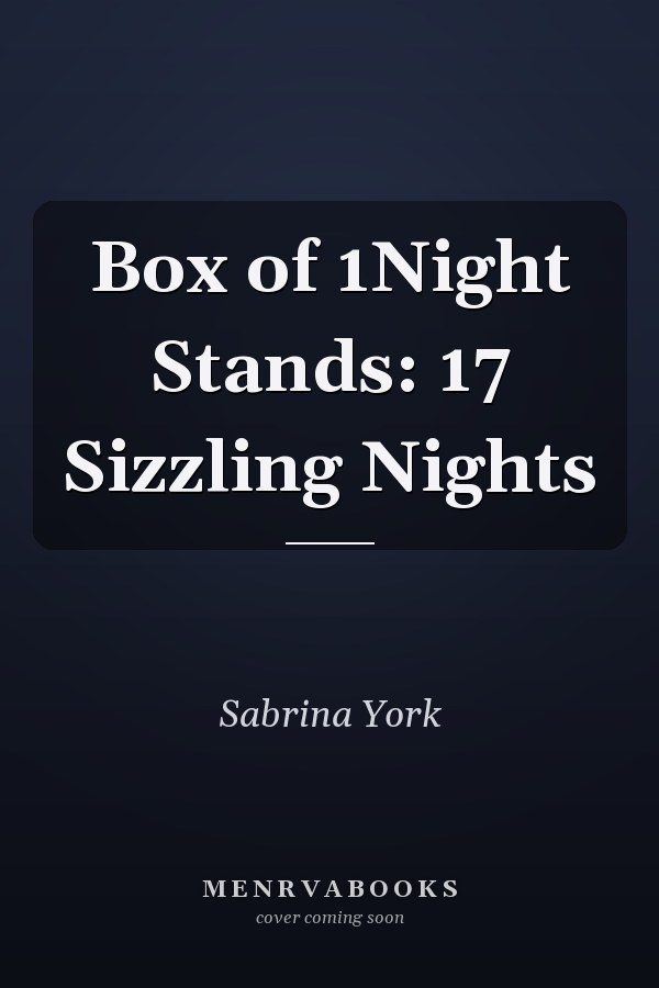 Box of 1Night Stands: 17 Sizzling Nights