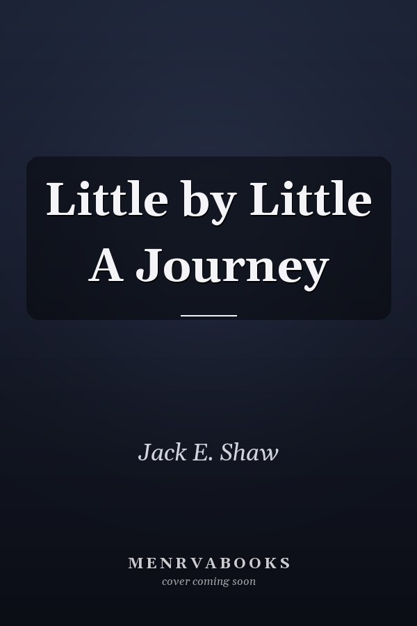 Little by Little A Journey