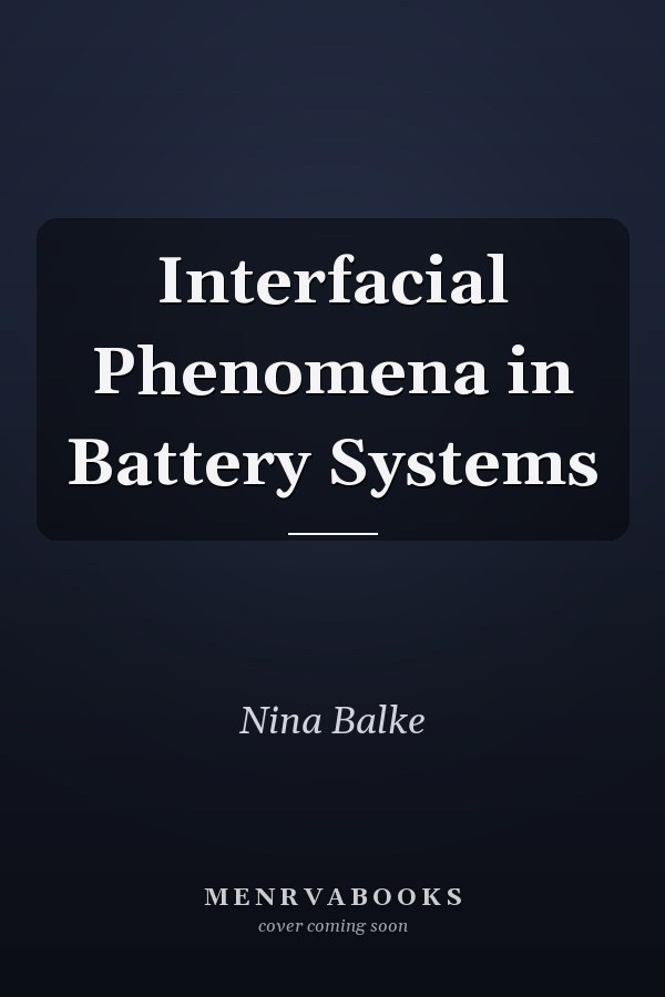 Interfacial Phenomena in Battery Systems