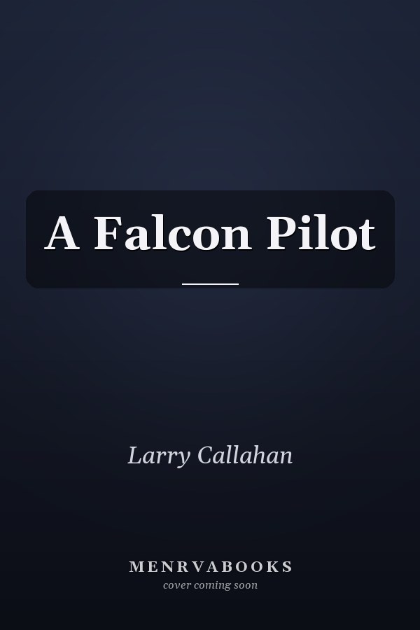 A Falcon Pilot