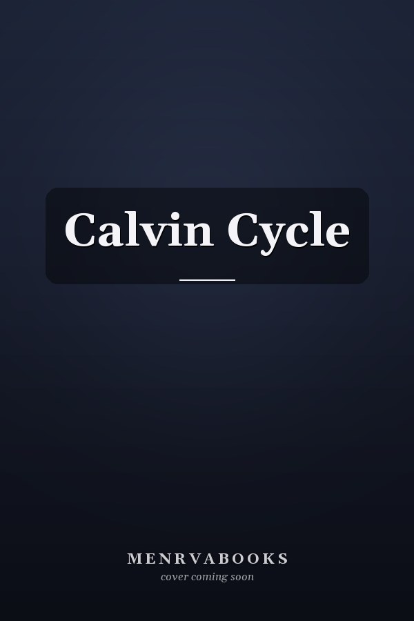 Calvin Cycle