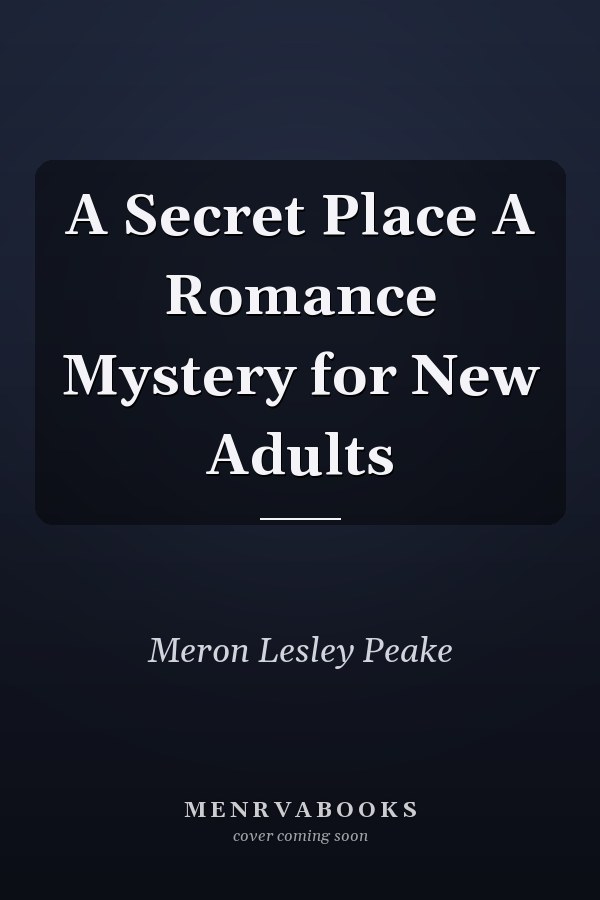 A Secret Place A Romance Mystery for New Adults