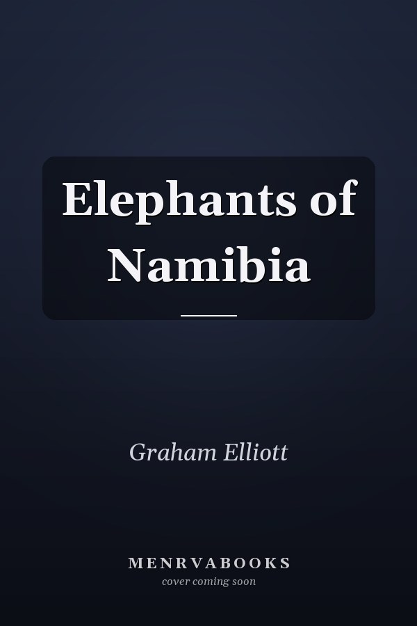 Elephants of Namibia
