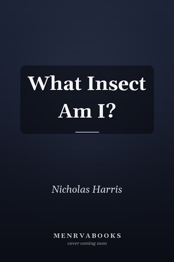 What Insect Am I?