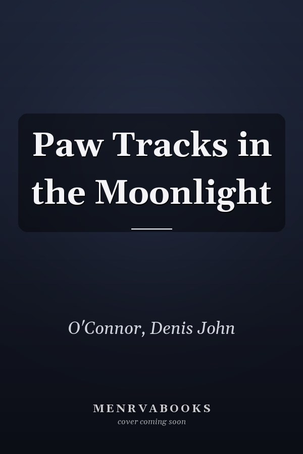 Paw Tracks in the Moonlight