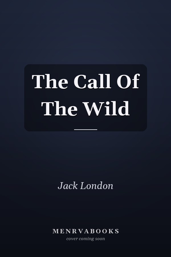 Edition published by Amazon Digital Services LLC - KDP Print US