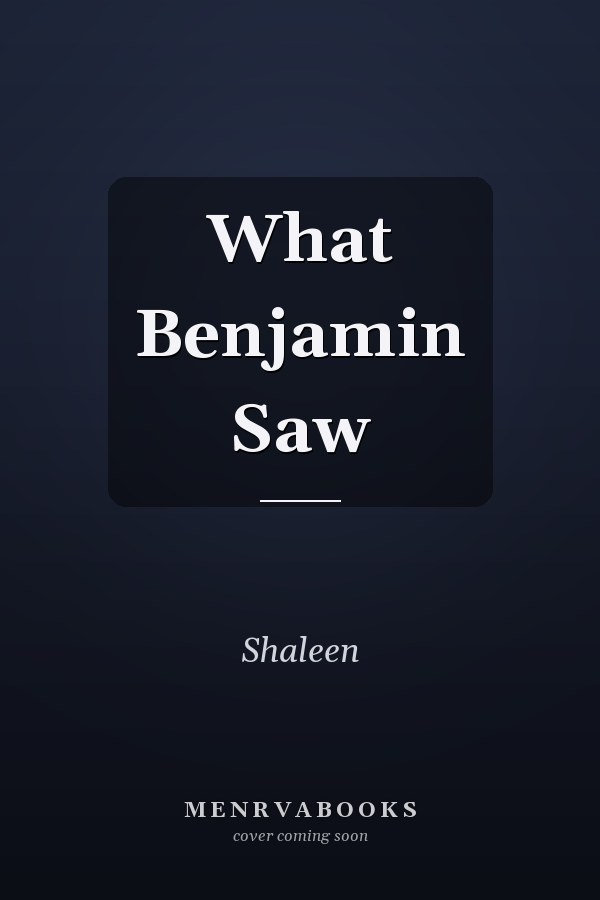 What Benjamin Saw