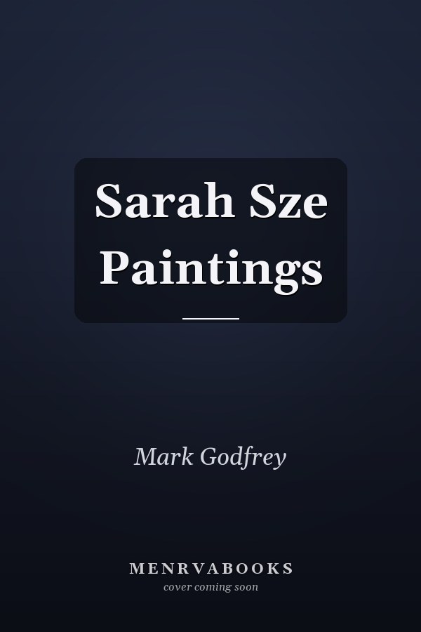 Sarah Sze Paintings