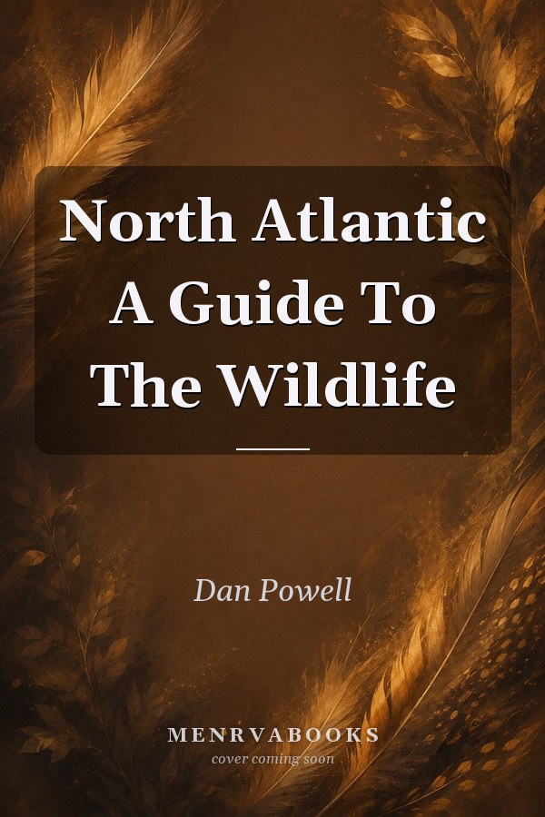 North Atlantic: A Guide To The Wildlife