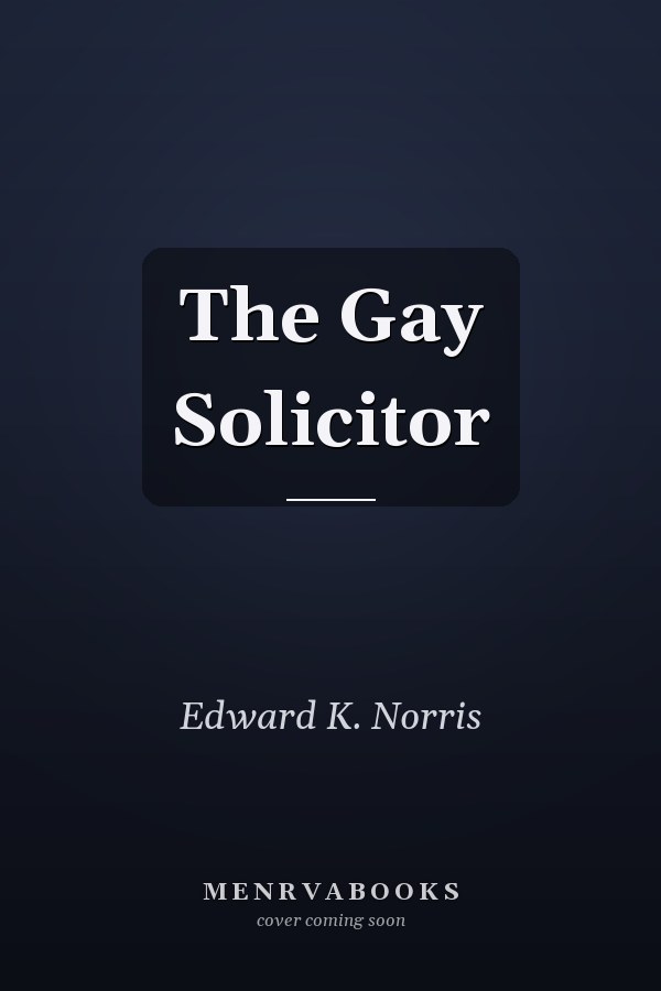 The Gay Solicitor