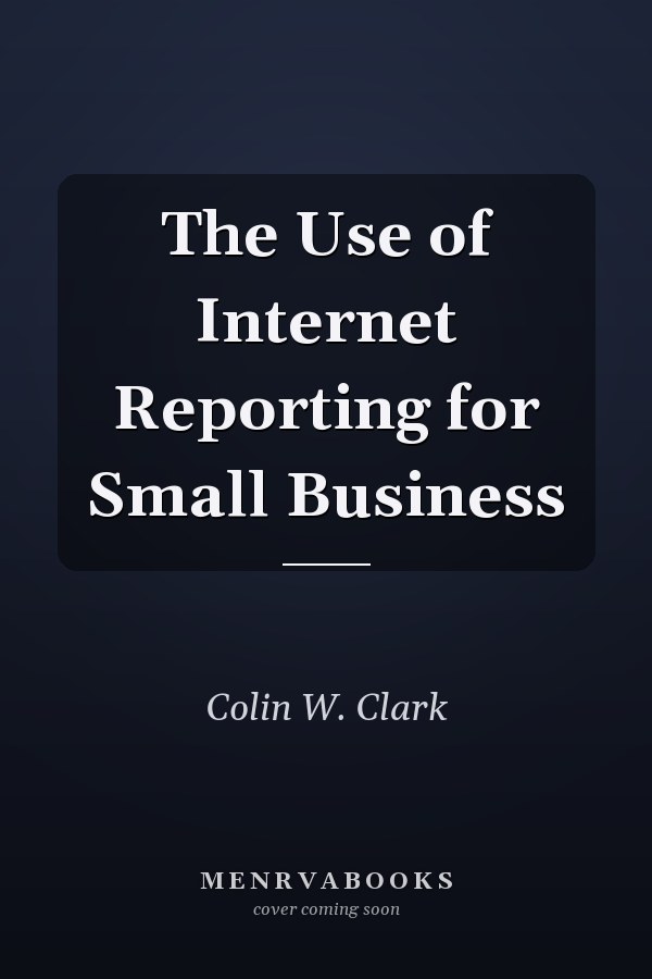 The Use of Internet Reporting for Small Business