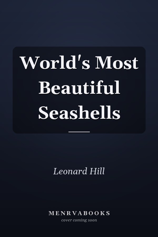 World's Most Beautiful Seashells