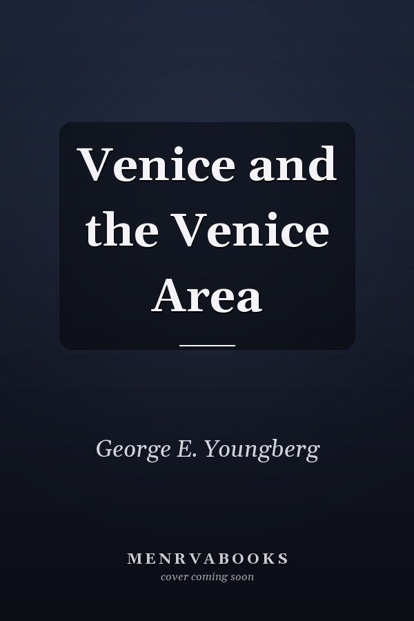 Venice and the Venice Area