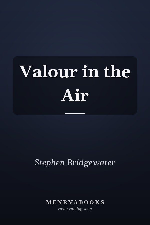 Valour in the Air