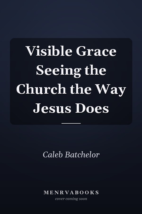 Visible Grace Seeing the Church the Way Jesus Does