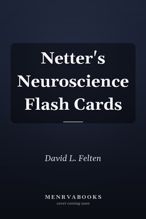 Netter's Neuroscience Flash Cards