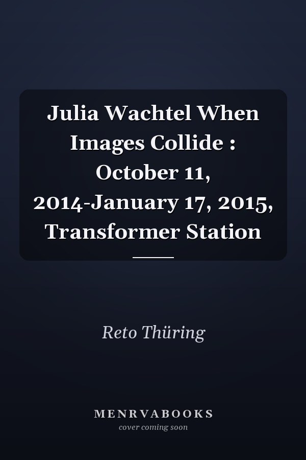 Julia Wachtel When Images Collide : October 11, 2014-January 17, 2015, Transformer Station