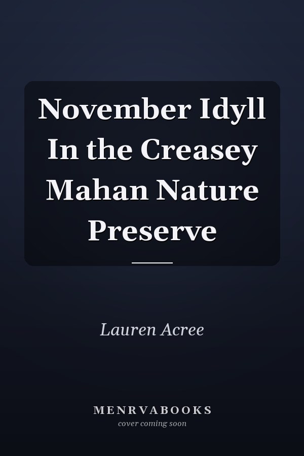 November Idyll In the Creasey Mahan Nature Preserve