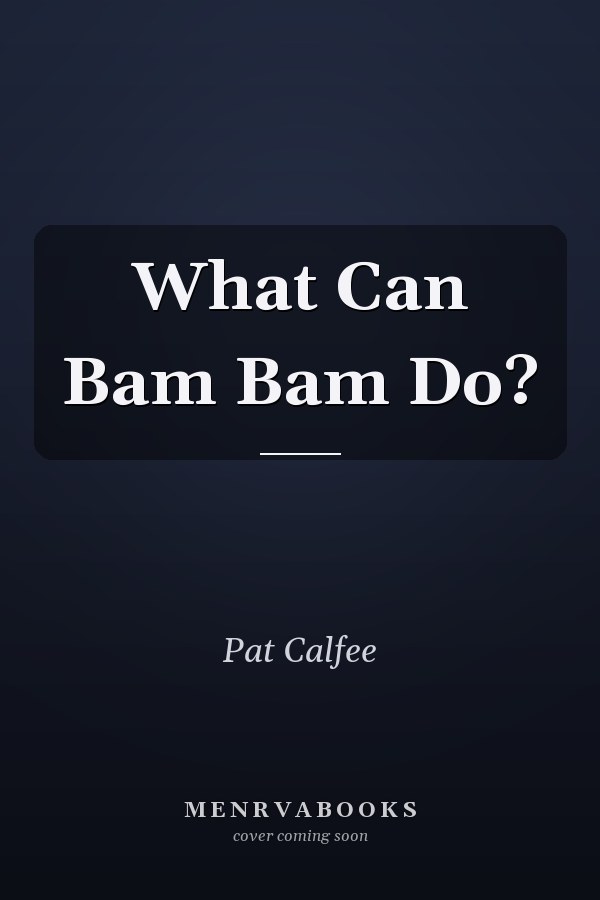 What Can Bam Bam Do?