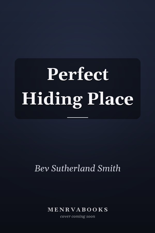 Perfect Hiding Place