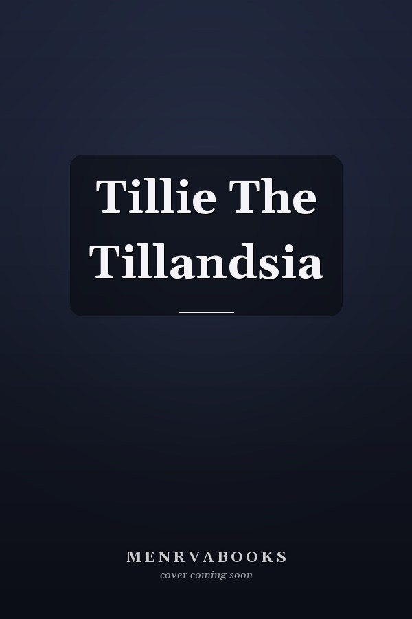 Tillie The Tillandsia