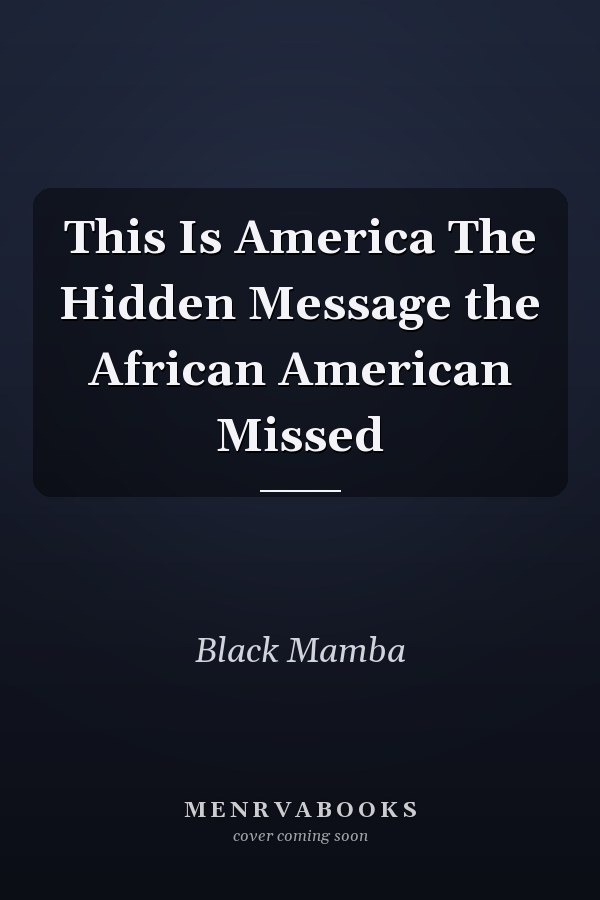 This Is America The Hidden Message the African American Missed