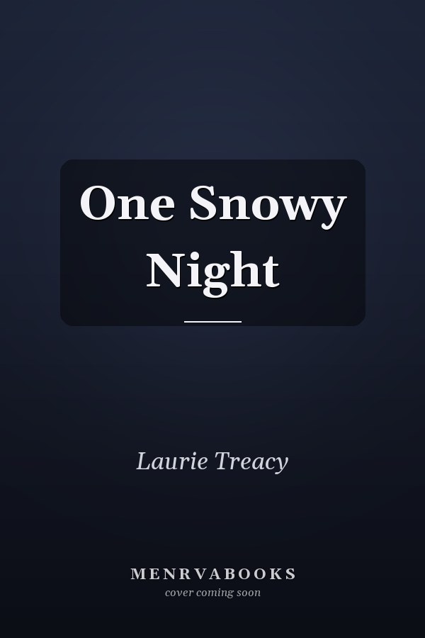 One Snowy Night