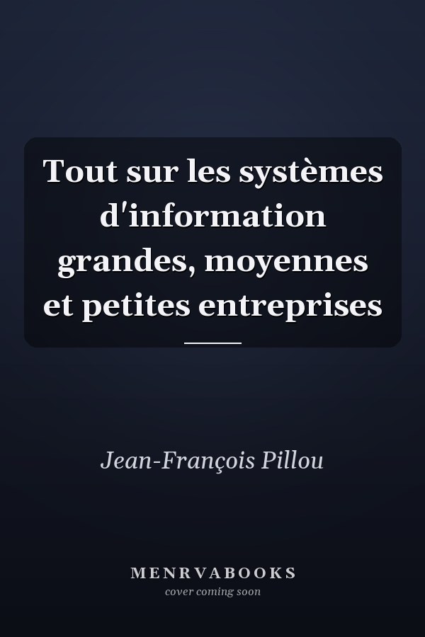 Tout sur les systèmes d'information grandes, moyennes et petites entreprises
