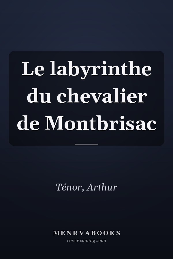 Le labyrinthe du chevalier de Montbrisac