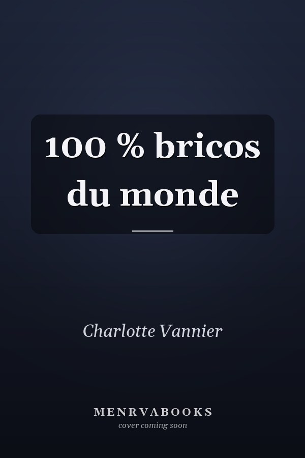 100 % bricos du monde