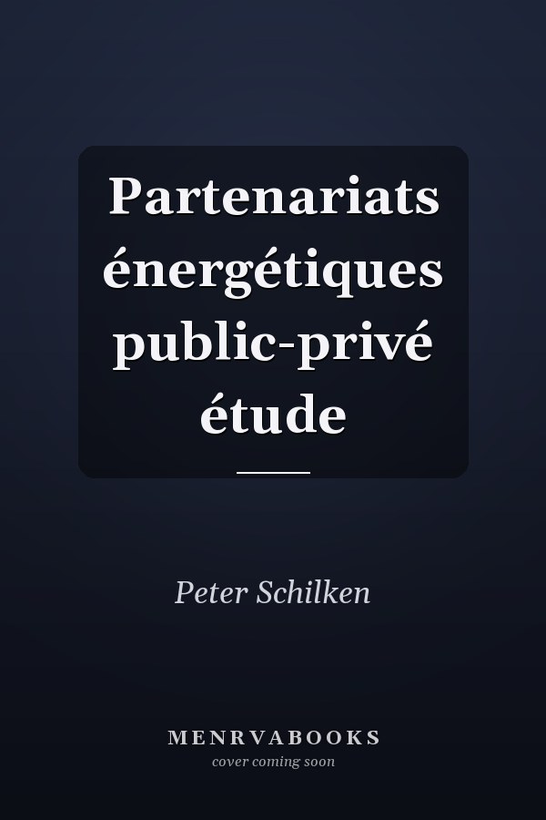 Partenariats énergétiques public-privé étude