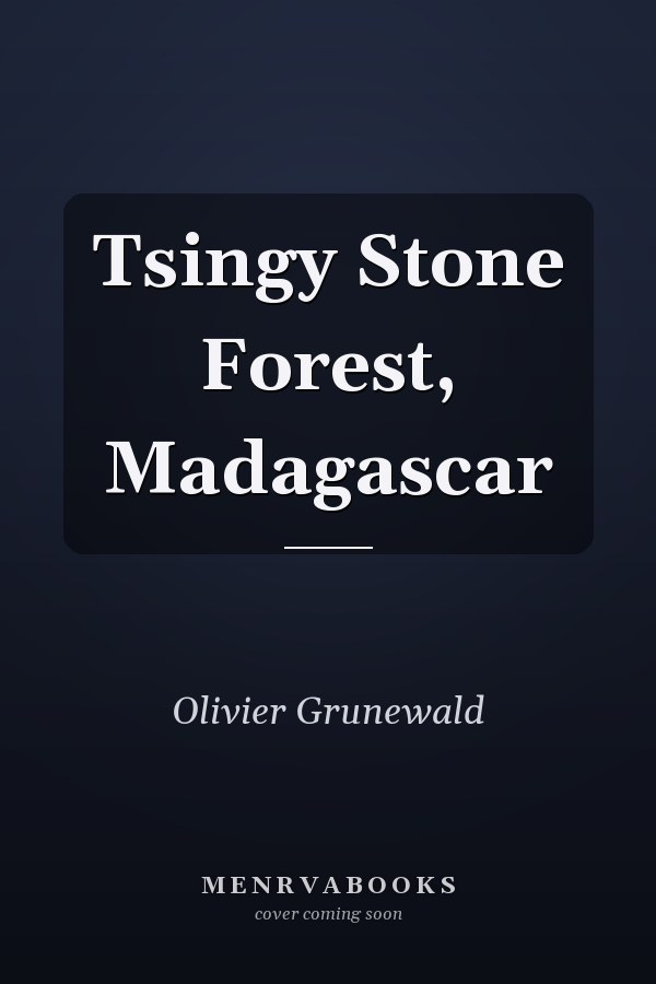 Tsingy Stone Forest, Madagascar