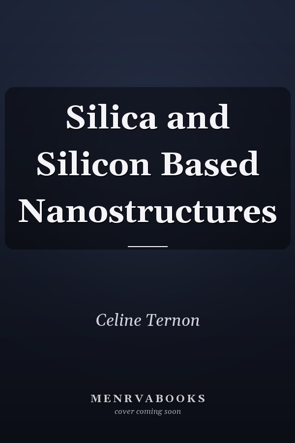 Silica and Silicon Based Nanostructures