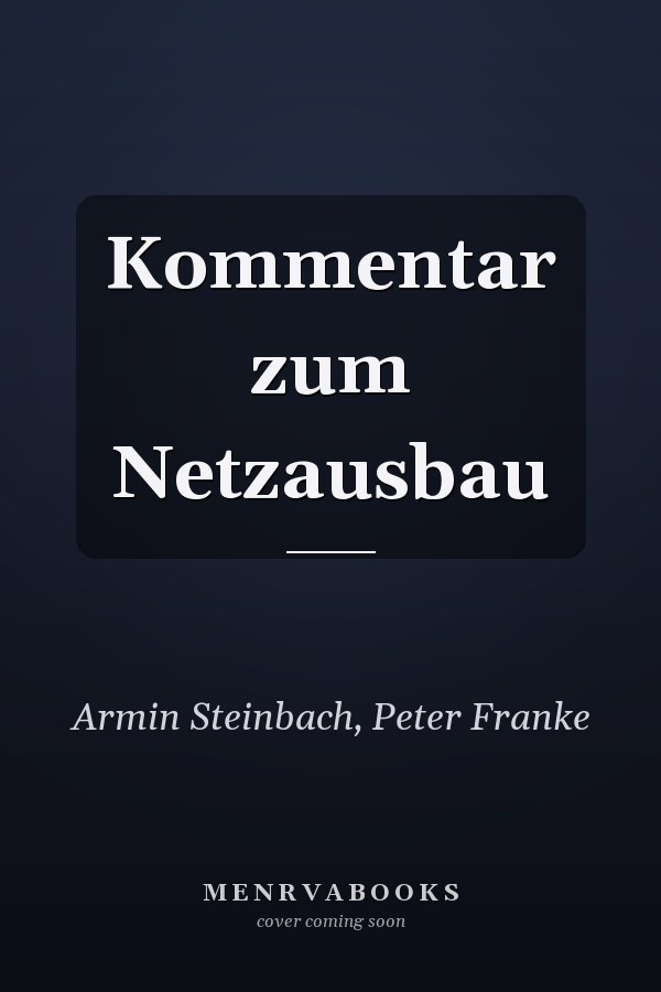 Kommentar zum Netzausbau