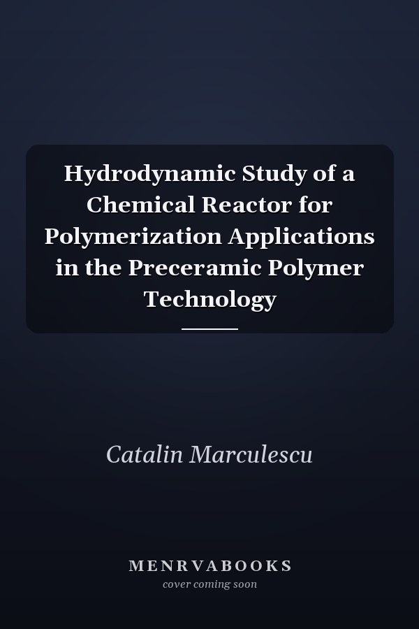 Hydrodynamic Study of a Chemical Reactor for Polymerization Applications in the Preceramic Polymer Technology
